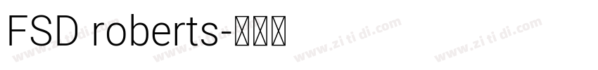 FSD roberts字体转换